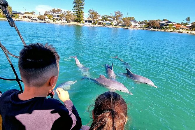 90 Minute Midweek Pirate Ship Scenic Cruise - Boarding at Mandurah: where you start and what the schedule means