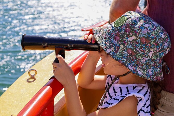 90 Minute Midweek Pirate Ship Scenic Cruise - Guide-led scenery: what you gain by cruising with someone talking