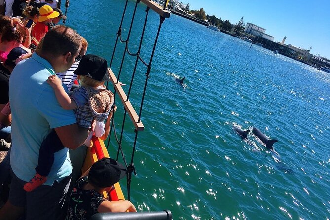90 Minute Midweek Pirate Ship Scenic Cruise - Dolphin Quay: marina views, markets nearby, and the dolphin search