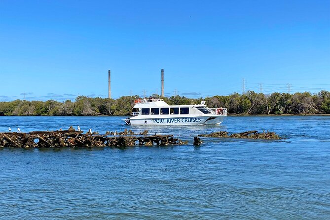 90 Minute Port River Dolphin & Ships Graveyard Cruise - Stop Two: Adelaide Dolphin Sanctuary Bottlenose Spotting