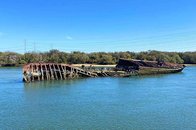 90 Minute Port River Dolphin & Ships Graveyard Cruise - Onboard Comfort: Viewing Areas, Bathroom Access, and Getting Fed