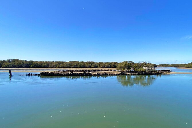 90 Minute Port River Dolphin & Ships Graveyard Cruise - The Route and Timing: What 90 Minutes Feels Like