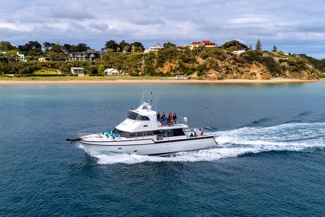 90 minute wildlife and scenic cruise - Price and value: is $53.79 per person fair?
