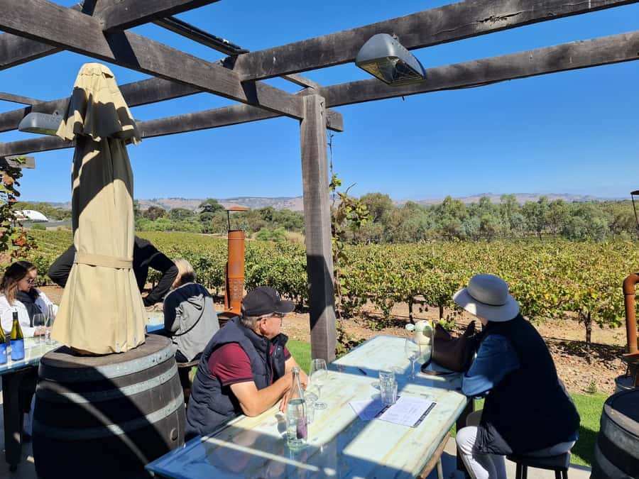 A Barossa Valley pickup: Wine and Heritage Tour, Local Guide - Where This Tour Fits Best (And Who Might Skip It)