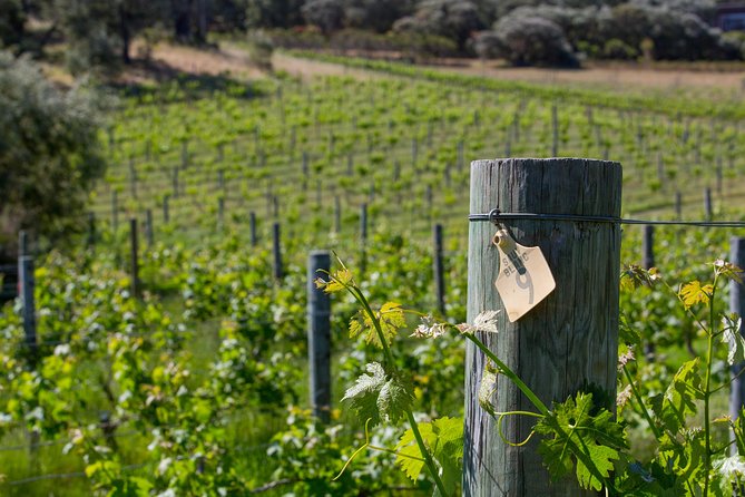 A Taste of Margaret River Seaplane Tour - Small Group Size, Pickup/Drop-Off, and the Value of Having a Plan