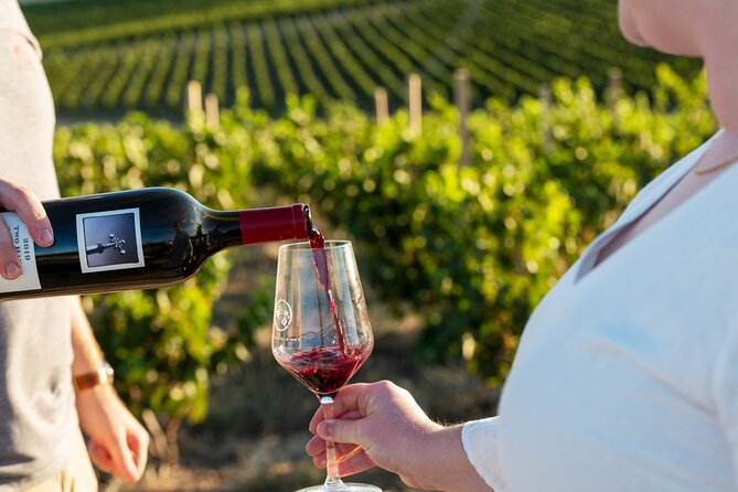 A Truly Barossan Wine Experience - High-End Private Day Tour - Key things that make this Barossa day tour special