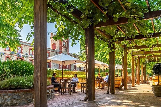 A Truly Barossan Wine Experience - High-End Private Day Tour - Yalumba: a well-established estate that anchors the classics