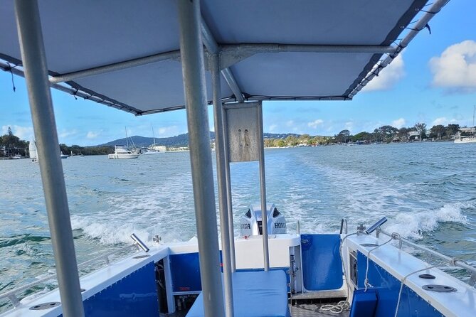 AAA Noosa National Park Tour and Dolphin Safari Whalesongsnoosa - Hydrophone moments: hearing communication while you watch
