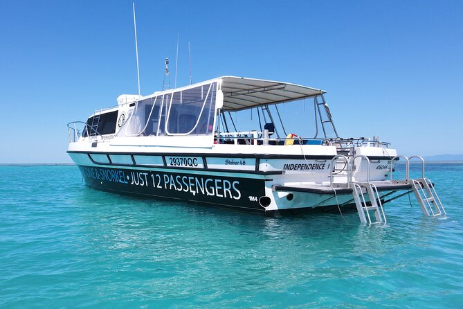 ABC Reef Safaris - The Small-Group Ratio (1 Guide per 6) Is the Whole Point