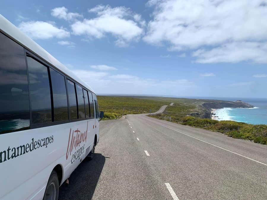 Adelaide: 3-Day Kangaroo Island Adventure Tour with Camping - The Adelaide start: early ferry energy and a conservation first