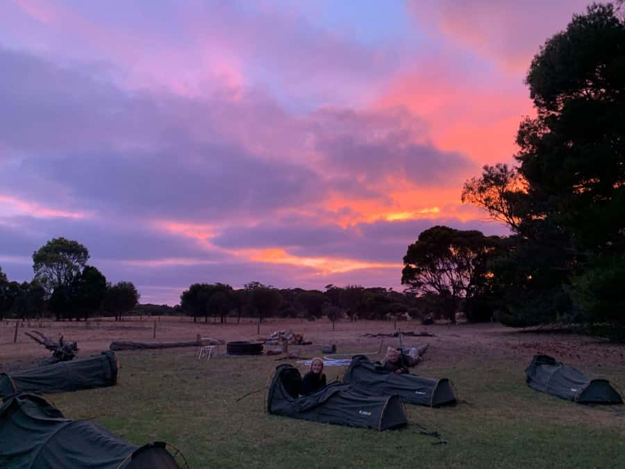 Adelaide: 3-Day Kangaroo Island Adventure Tour with Camping - Price and value: what $538 buys you in 3 island days