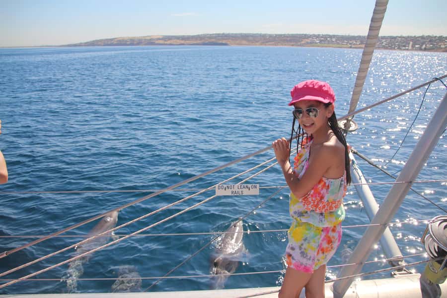 Adelaide: 4-Hour Guaranteed Wild Dolphin Watching Cruise - Watch-only vs swim-with-dolphins: choosing the experience level you want