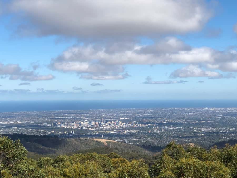 Adelaide: Adelaide Hills and Hahndorf Guided Tour with Lunch - Beerenberg Strawberry Farm-Shop: Jam Runs the Day