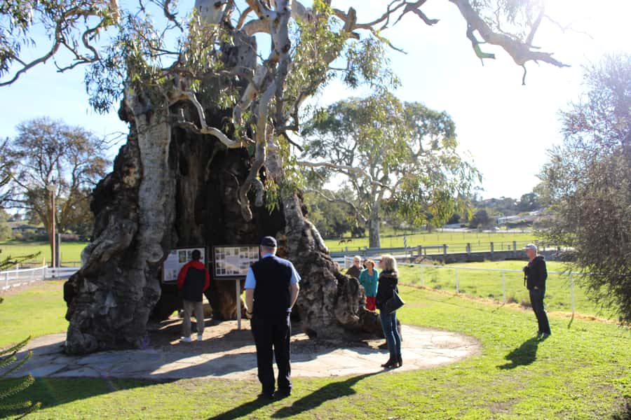 Adelaide: Barossa and Adelaide Hills Tour with Lunch - Hahndorf Free Time: Old German Settlement, Real Browsing Time