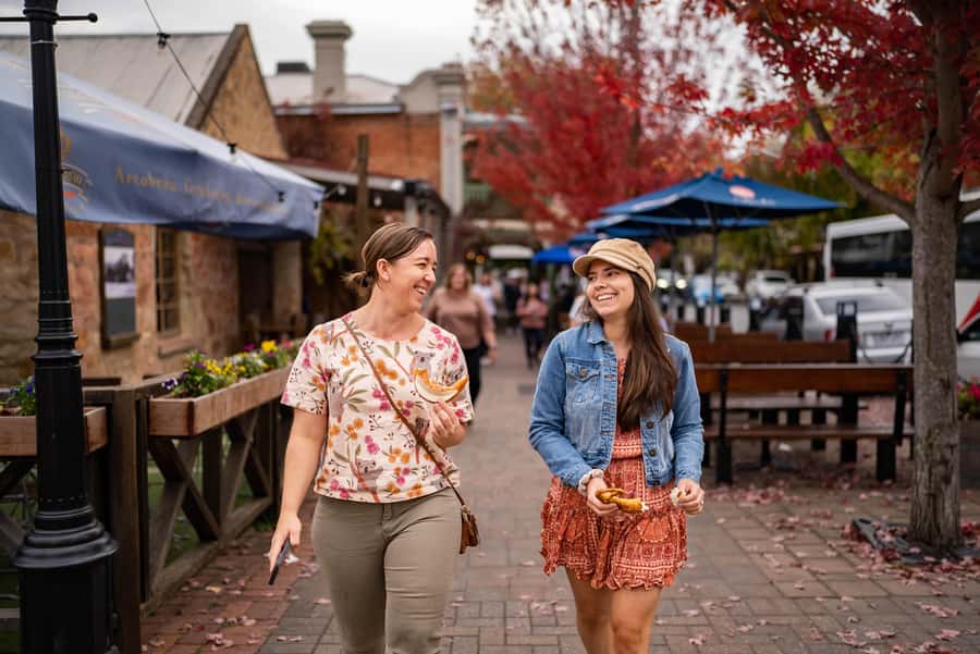Adelaide: Barossa and Adelaide Hills Tour with Lunch - Price and Logistics: Is $140 Good Value?