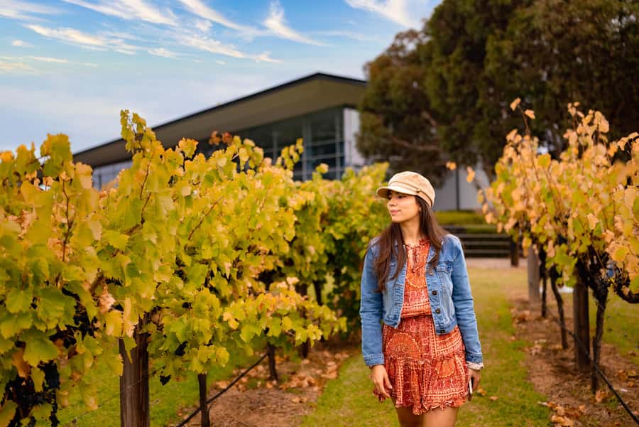 Adelaide: Barossa and Adelaide Hills Tour with Lunch - Starting in Adelaide: Pickup That Keeps the Day Simple