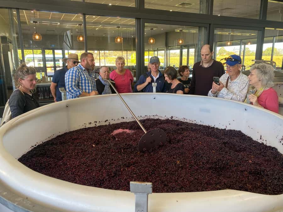 Adelaide: Barossa Premium Wine Tasting tour & Winery Lunch - Menglers Hill Lookout, Date Palms, and Seppeltsfield Stops
