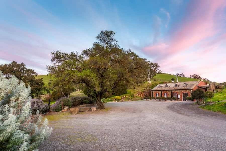 Adelaide: Barossa Private Wine Tour + Your Chosen Tastings - A Private Barossa Day That Lets You Set the Pace