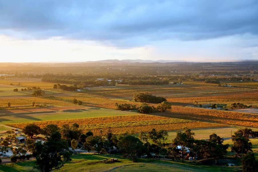 Adelaide: Barossa Private Wine Tour + Your Chosen Tastings - Your Cellar Door Plan: How to Choose Without Overthinking It