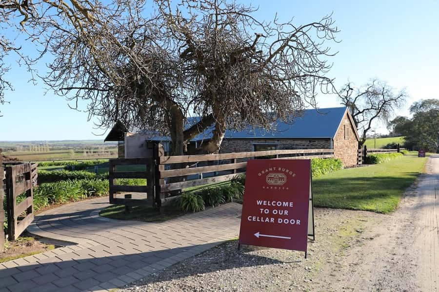Adelaide: Barossa Private Wine Tour + Your Chosen Tastings - How the Tour Handles Lunch (and Why You Should Think About It)