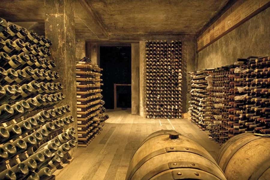 Adelaide: Barossa Private Wine Tour + Your Chosen Tastings - The Driver Guide Part: Why On-Time Matters More Than You Think