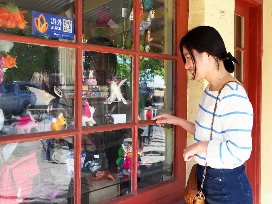 Adelaide: City, Adelaide Hills Villages, and Hahndorf Tour - Lunch break on your own: plan it, or you’ll eat whatever’s convenient