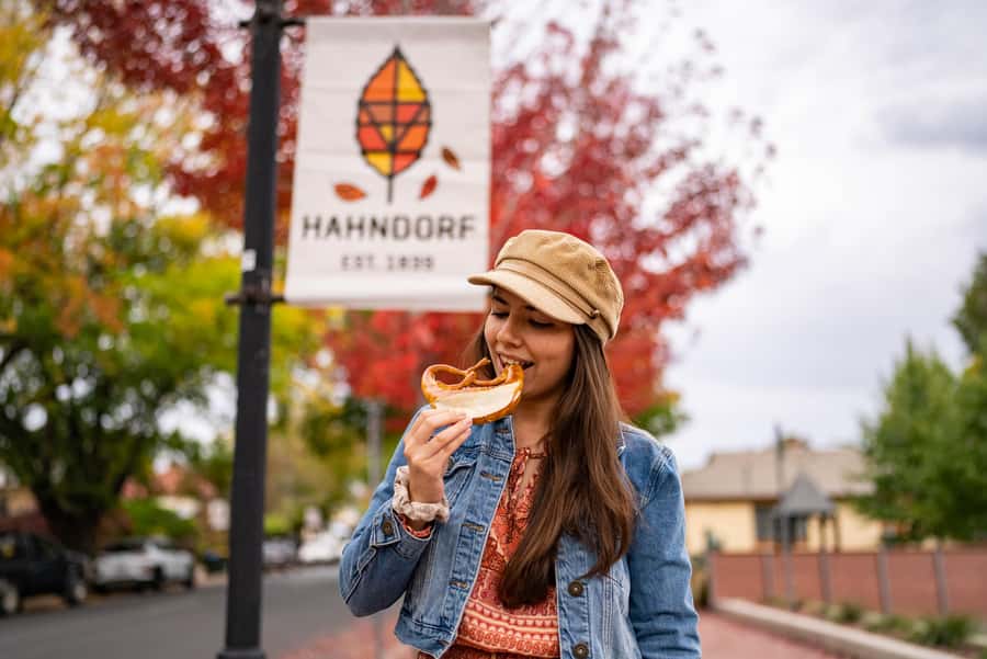 Adelaide: City, Adelaide Hills Villages, and Hahndorf Tour - Price and value: is $118 for 8 hours a fair deal?