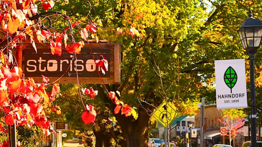 Adelaide City Highlights Half-Day Tour, Mt Lofty & Hahndorf - Adelaide CBD Stops: From Victoria Square to Central Market