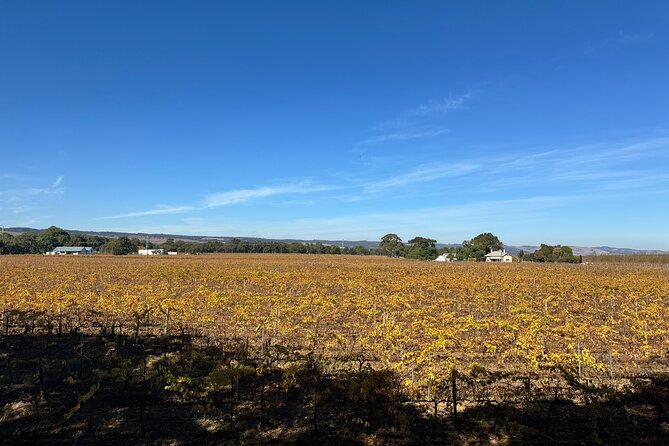 Adelaide City Highlights via Hahndorf Half-Day Tour - Key Highlights Worth Targeting