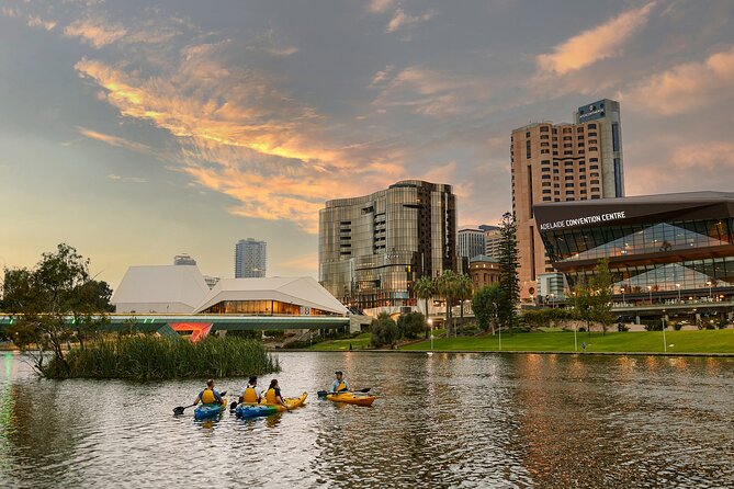 Adelaide City Kayak Tour - Key highlights that make this Adelaide kayak tour work
