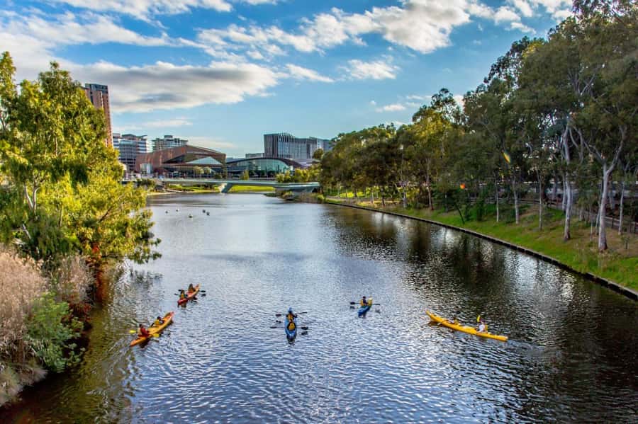 Adelaide: City Kayaking Experience - What the 90 minutes on the water feels like in real life