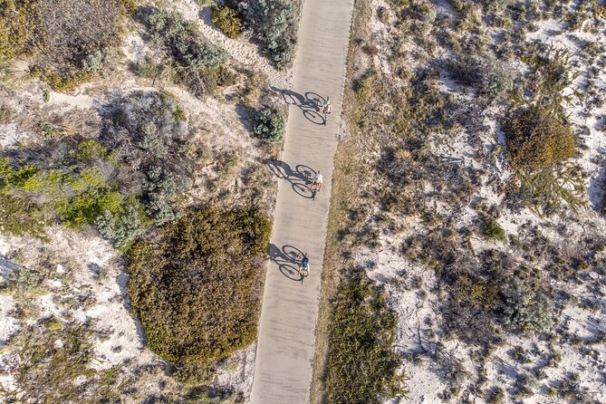 Adelaide City to Sea Bike Tour - The Coast to Glenelg: Dedicated Paths and a View That Keeps Moving