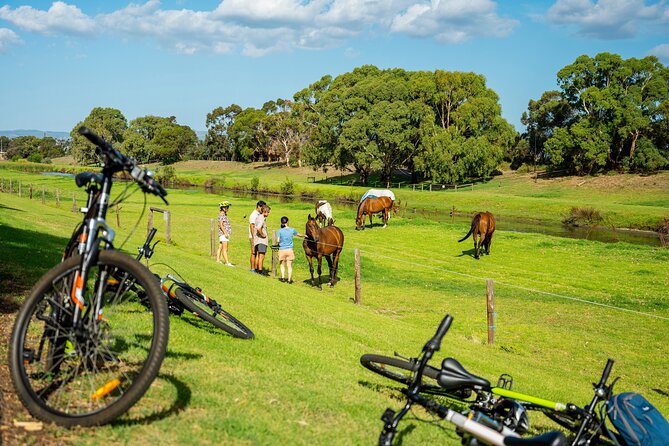 Adelaide City to Sea Bike Tour - Glenelg Beach Time: Make Use of the Included Tram Ticket