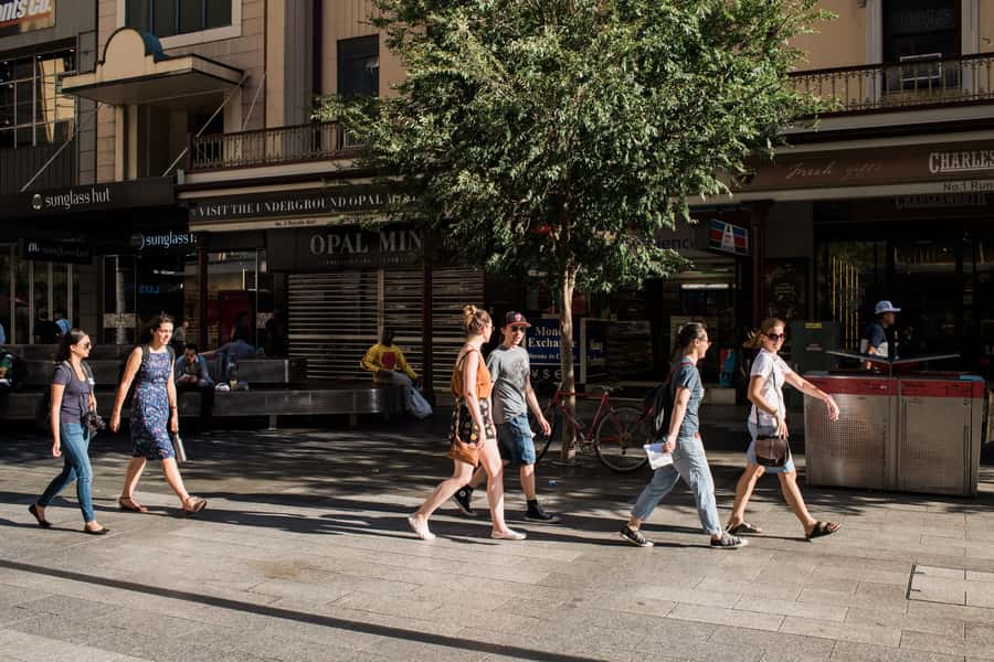 Adelaide: City Walking Tour with Guide - New Parliament House and Adelaide Town Hall: civic Adelaide, explained in plain terms