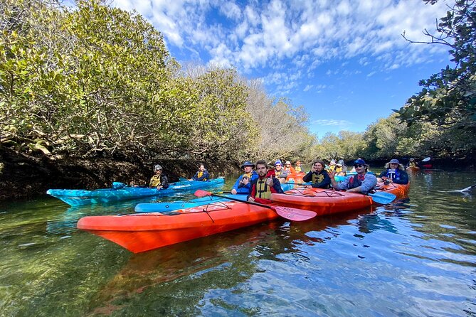 Adelaide Dolphin Sanctuary and Ships Graveyard Kayak Tour - Key things to know before you go