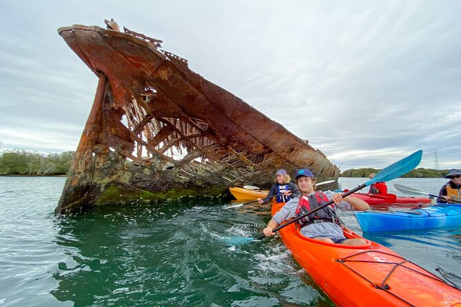 Adelaide Dolphin Sanctuary and Ships Graveyard Kayak Tour - Price and value: what $55.94 gets you