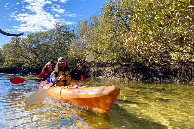 Adelaide Dolphin Sanctuary Mangroves Kayaking Tour - Why This Adelaide Mangrove Kayak Tour Feels Different Than a Typical Boat Trip