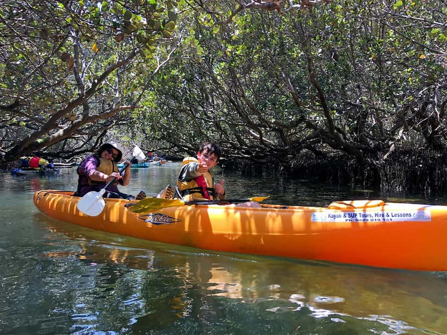 Adelaide: Dolphin Sanctuary Single or Double Kayak Rental - Dolphin Spotting in the Adelaide Dolphin Sanctuary: What to Expect