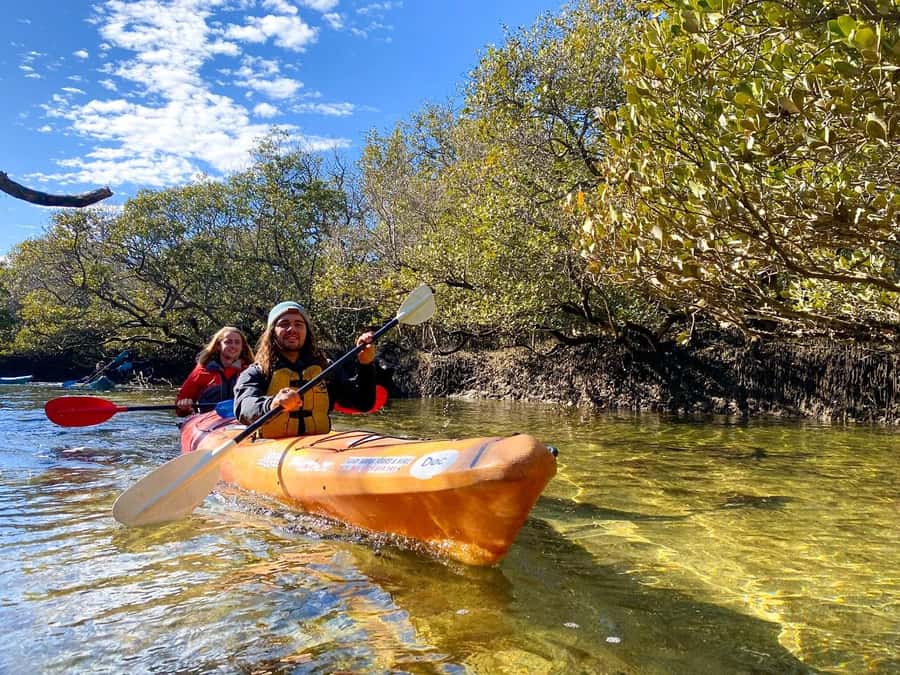 Adelaide: Dolphin Sanctuary Single or Double Kayak Rental - Paddling the Mangrove Creeks: Self-Guided Freedom With a Map