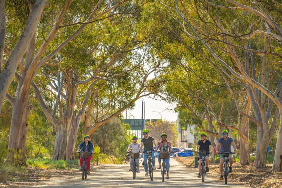 Adelaide: Electric Bike City Tour or Hire Only - Bloom Café and bike fitting: set up for a smooth ride