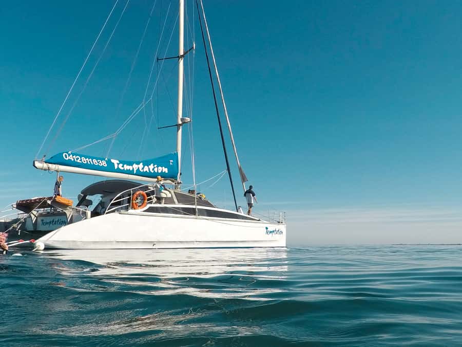 Adelaide: Glenelg Twilight Catamaran Cruise with Drink - Key Things to Know Before You Go