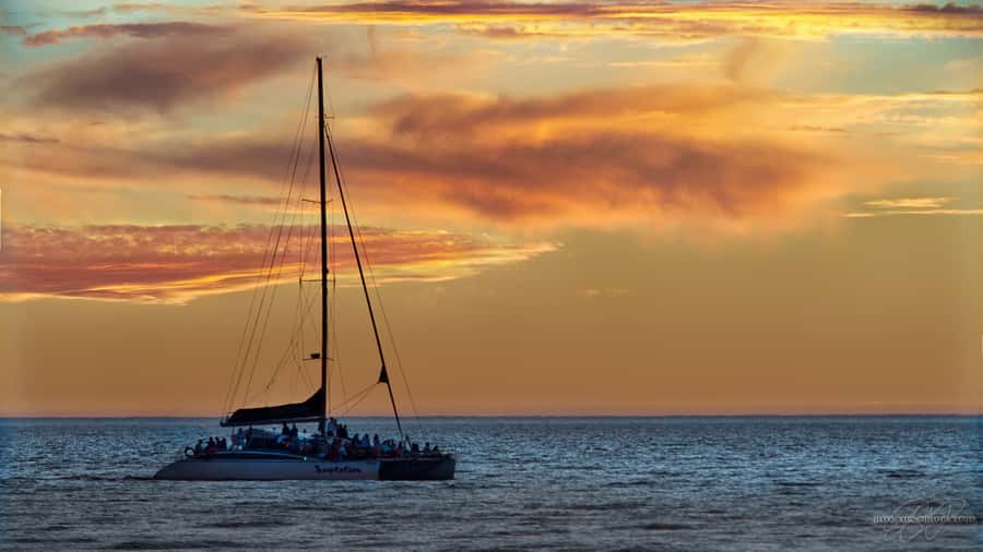 Adelaide: Glenelg Twilight Catamaran Cruise with Drink - Who This Cruise Suits Best (and Who Should Skip It)