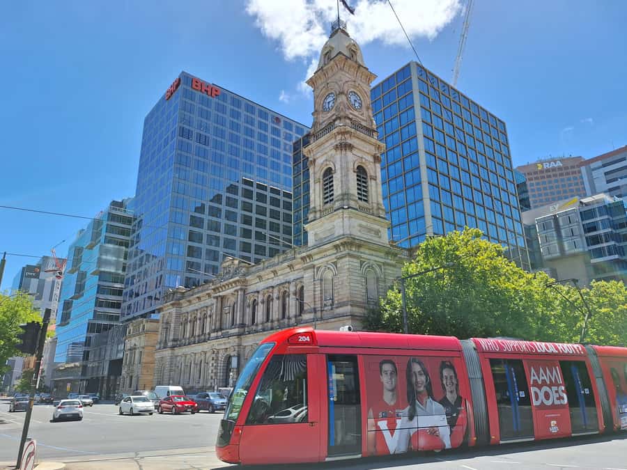 Adelaide: Guided Ultimate Walking Tour with Drink and Snack - Elder Park to the Adelaide Central Market: the finale with a practical payoff
