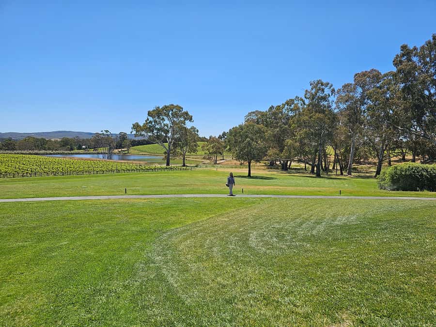 Adelaide: Hahndorf & Hills Wine and/or Gin Tour - Key highlights worth clocking before you go