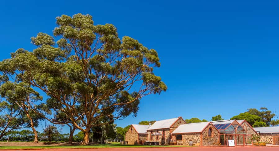 Adelaide: Half-day McLaren Vale & Glenelg Wine Tasting Tour - Pickup at Hilton Victoria Square and the Adelaide Hills Drive