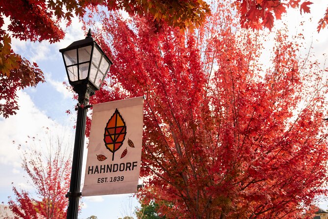 Adelaide Highlights, Hahndorf & McLaren Vale Wine Tasting and Sightseeing Tour - Hahndorf: 1.5 hours in the German township that slows you down