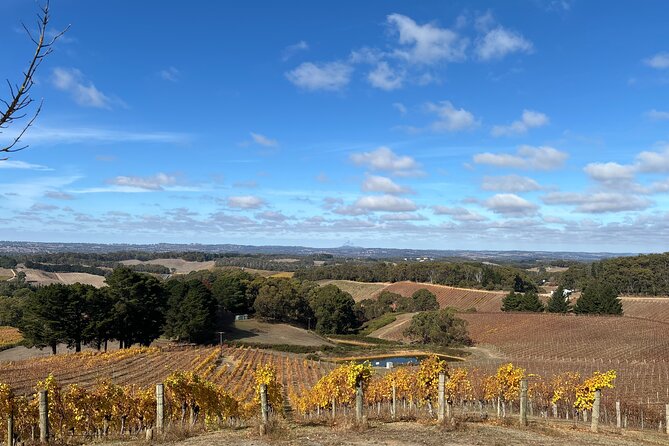 Adelaide Hills and Hahndorf - Half Day Private Scenic Tour - Hahndorf’s German village time: shop, café-hop, or lunch