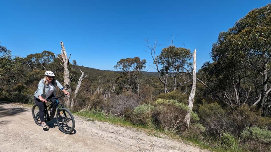 Adelaide Hills: E-Bike Self-Guided Tour with Coffee and Cake - Belair National Park starts at the Goat Shed