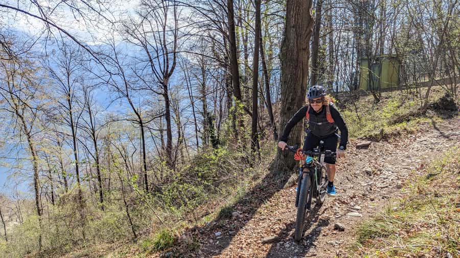 Adelaide Hills: E-Bike Self-Guided Tour with Coffee and Cake - Wildlife spotting in Belair: koalas, kangaroos, and emus