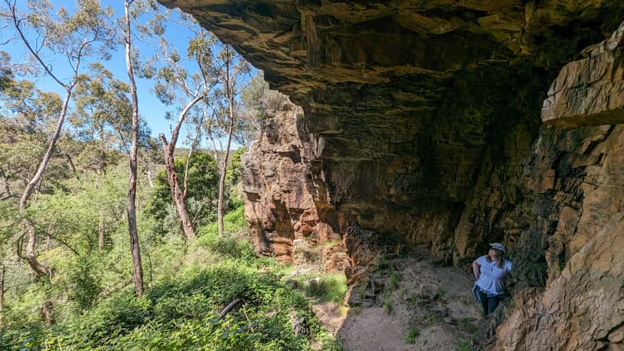 Adelaide Hills: E-Bike Self-Guided Tour with Coffee and Cake - Price and value for $88 for six hours